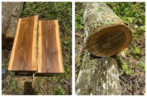Teak Blocks 1.00 - 1.99 CFT